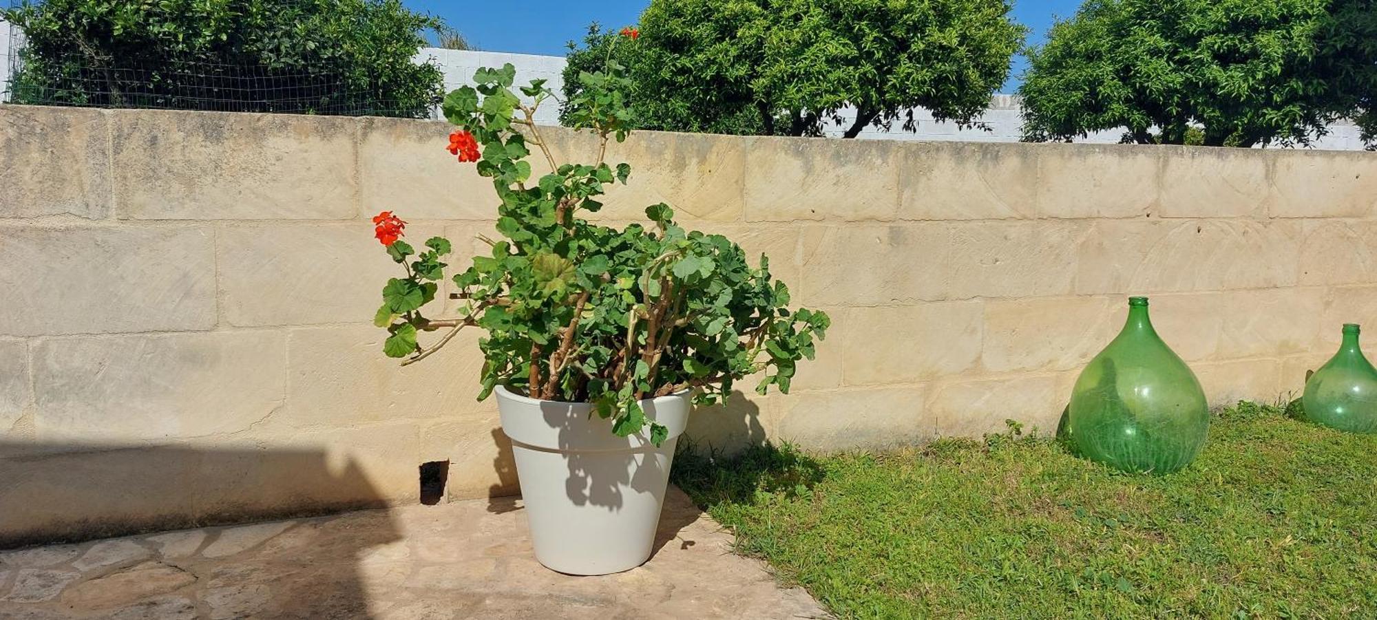 Villa L'Aira Ecchia - Ospitalita Rurale Lecce Exterior foto